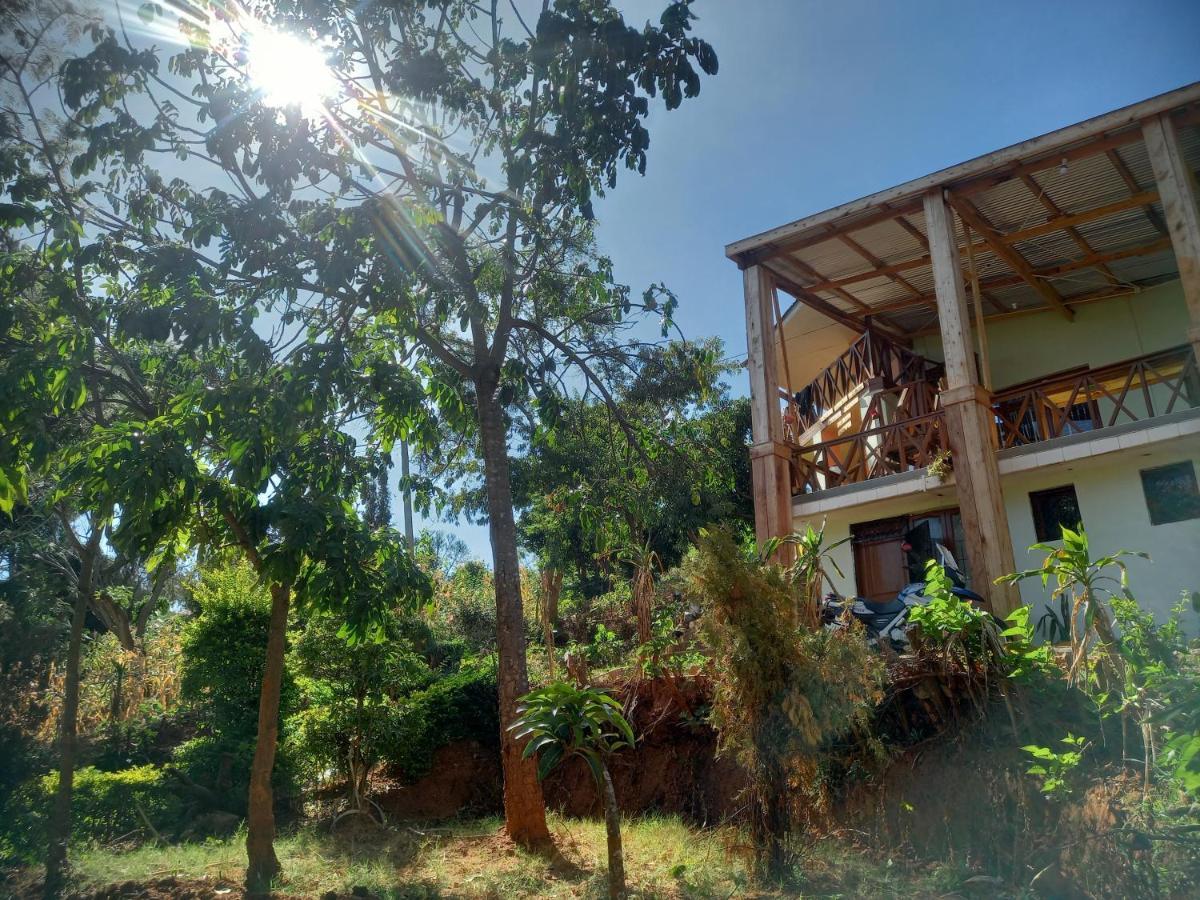 إيرينغا Emmy'S Backpackers Hostel المظهر الخارجي الصورة