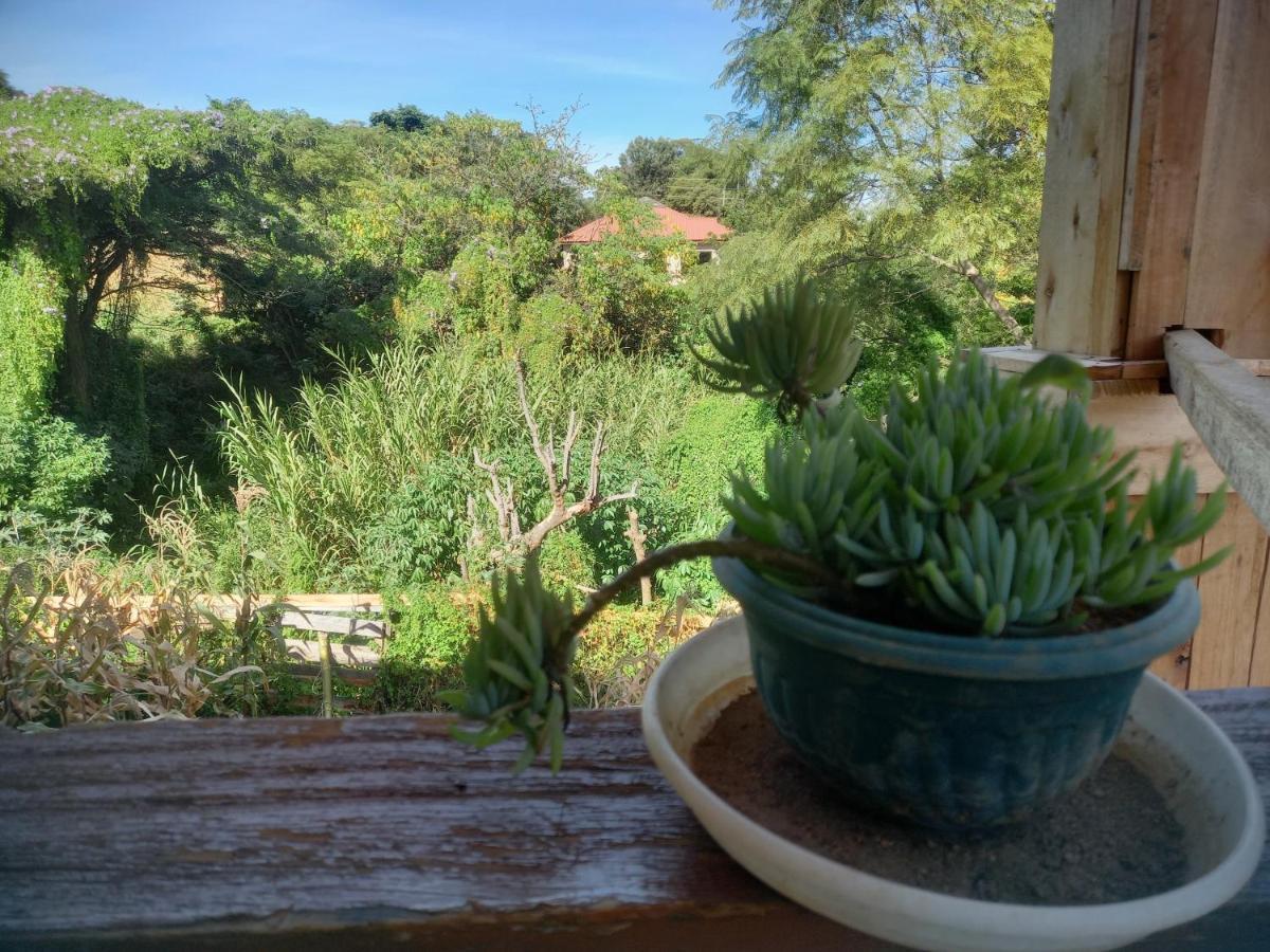إيرينغا Emmy'S Backpackers Hostel المظهر الخارجي الصورة