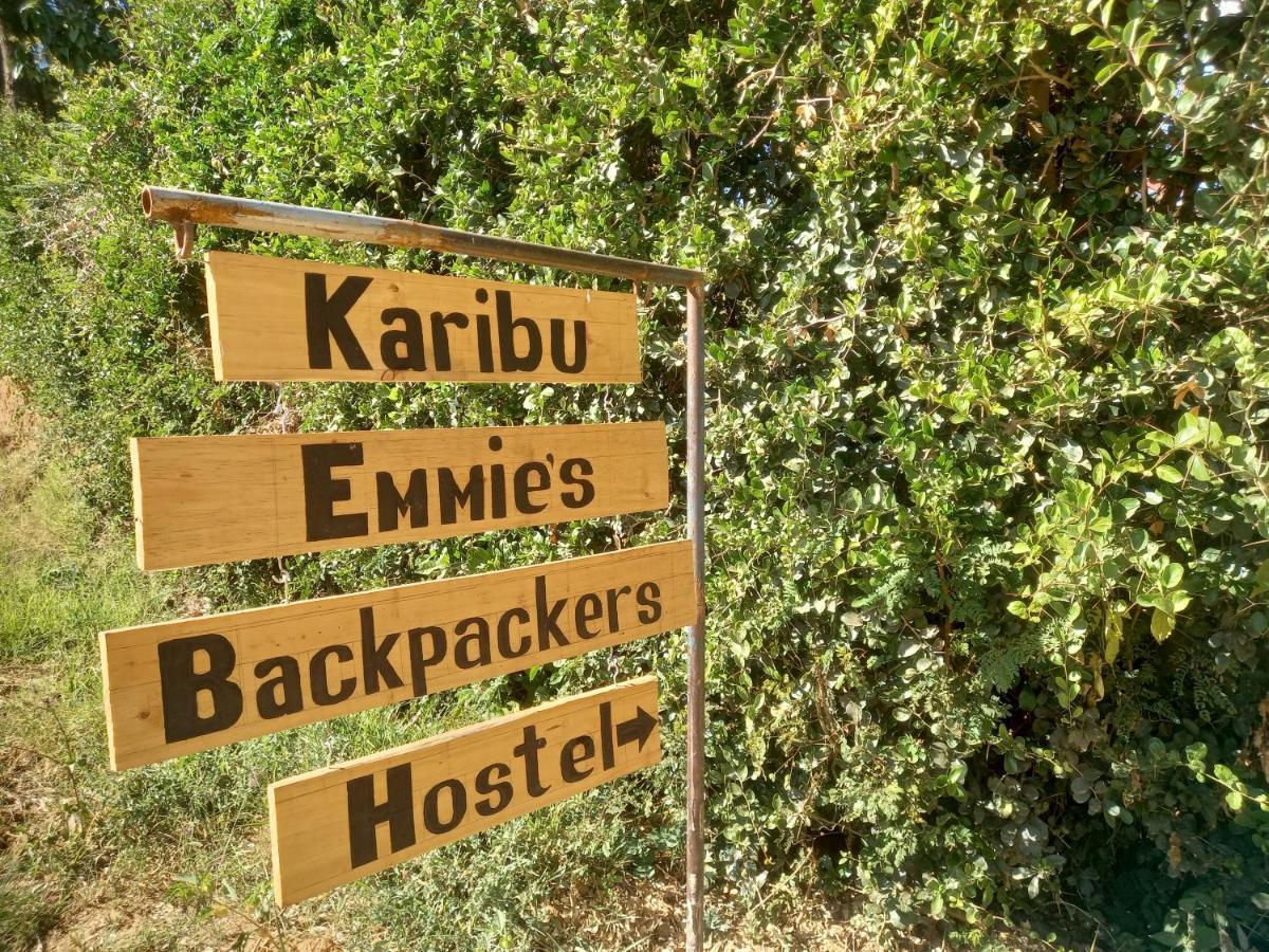 إيرينغا Emmy'S Backpackers Hostel المظهر الخارجي الصورة